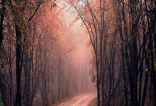 中国男FIFA排名上升至第90位 亚洲位列第13.