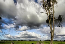 OD体育官网：辛纳克服身体不适3-1战胜鲁内 闯进澳网男单八强.