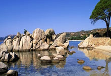 OD体育官网：卡塔尔网球公开赛 伊加与叶莲娜争决赛资格.